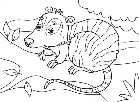 Opossum From Possum Coloring Page